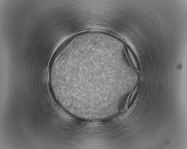 X0000096440891200802211207