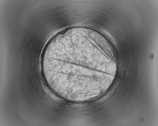 X0000096440892200802211207