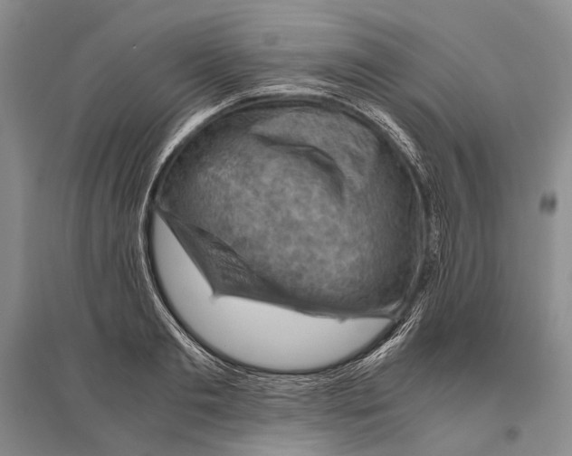 X0000096440893200802211207