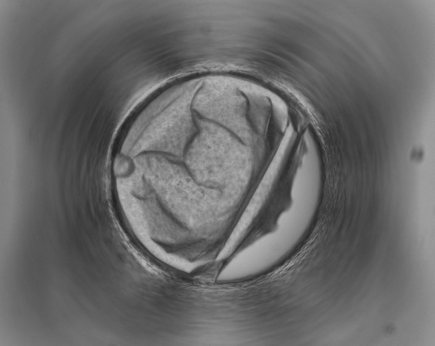 X0000096440894200802211207