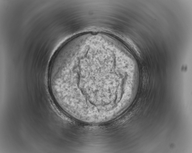 X0000096440896200802211207