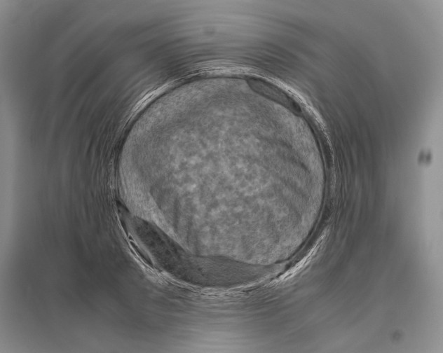 X0000096440897200802211207