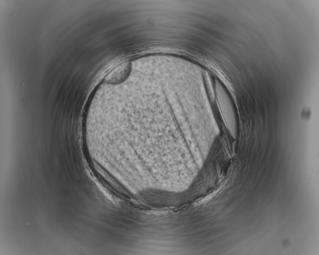 X0000096440898200802211207