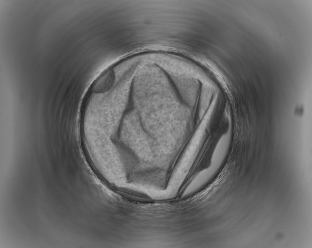 X0000096440902200802211207