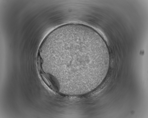 X0000096440903200802211207