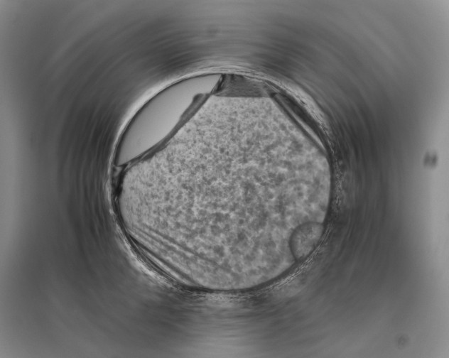 X0000096440904200802211207