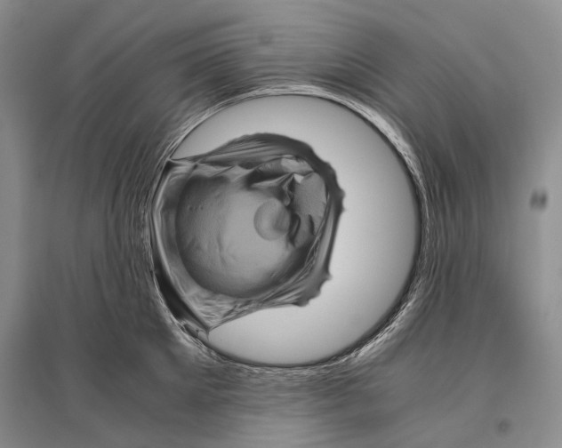 X0000096440905200802211207