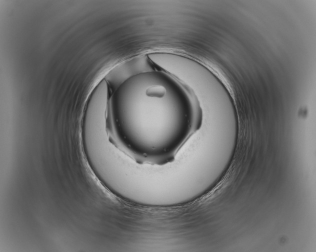 X0000096440906200802211207