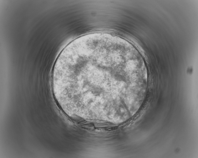 X0000096440907200802211207