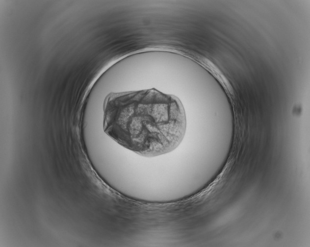 X0000096440908200802211207