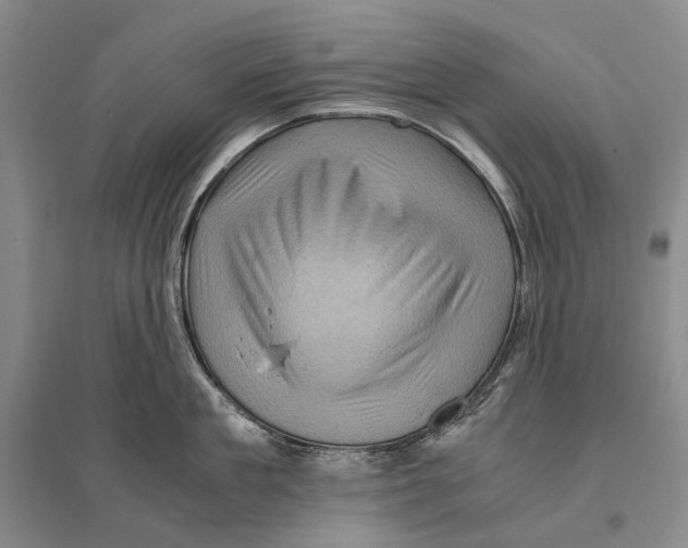 X0000096440909200802211207