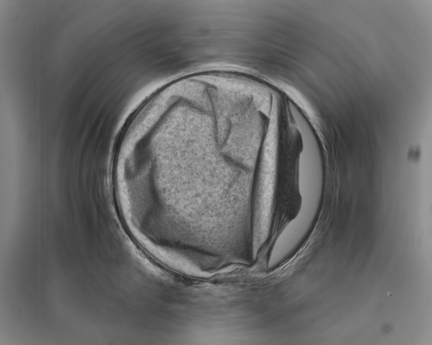 X0000096440910200802211207