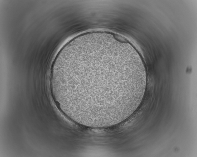 X0000096440911200802211207