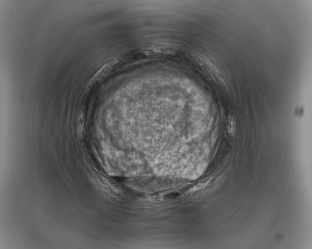 X0000096440915200802211206