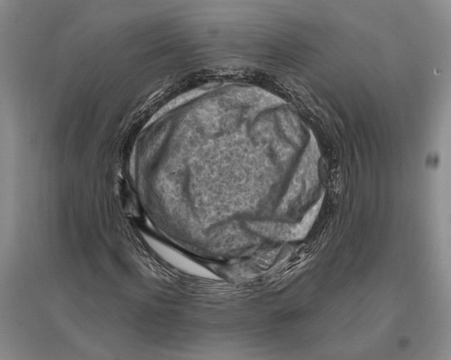 X0000096440916200802211206