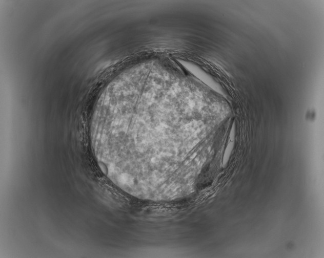 X0000096440917200802211206