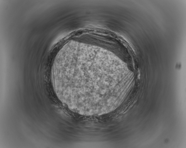 X0000096440919200802211206