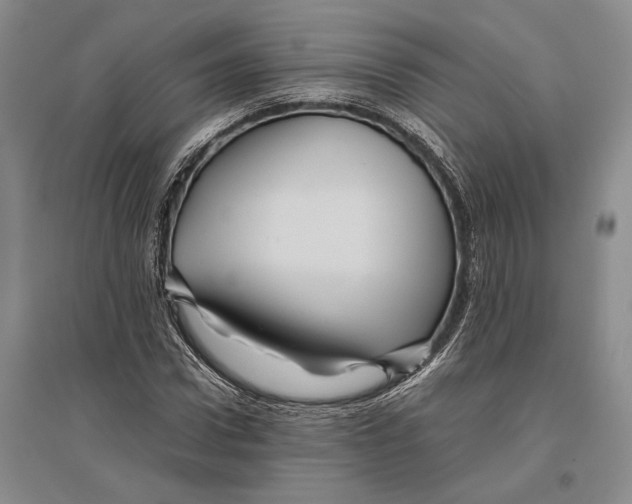 X0000096440922200802211206