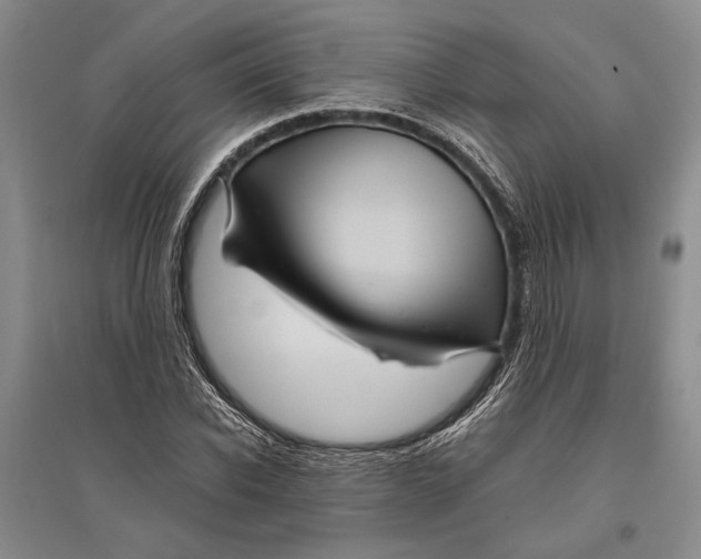 X0000096440926200802211206