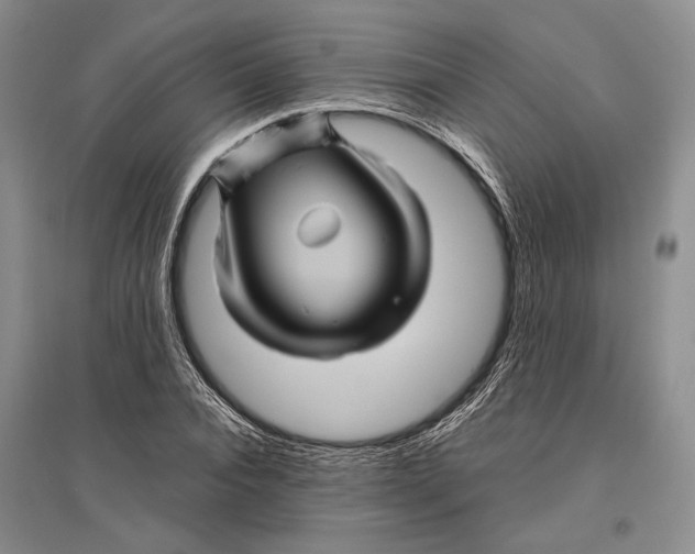 X0000096440928200802211207