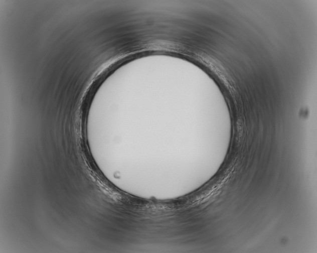 X0000096440931200802211207