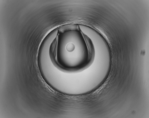 X0000096440932200802211207