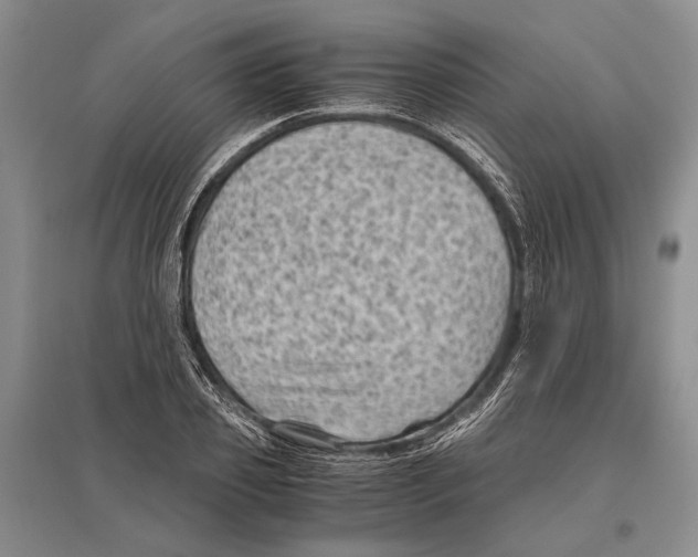 X0000096440933200802211207