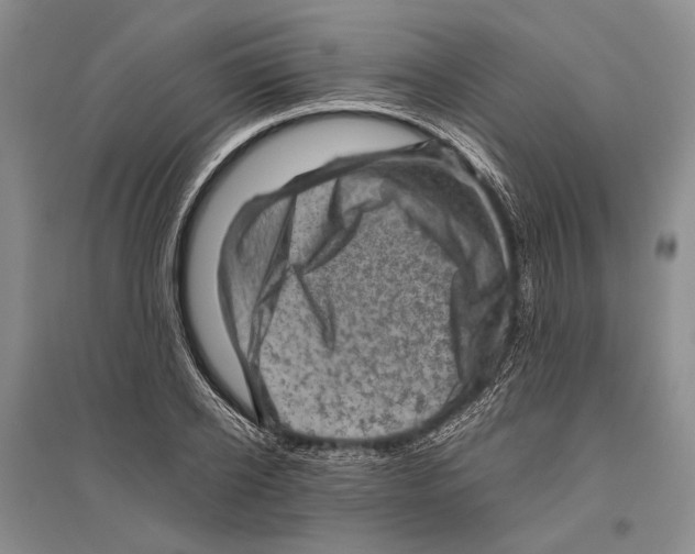 X0000096440934200802211207