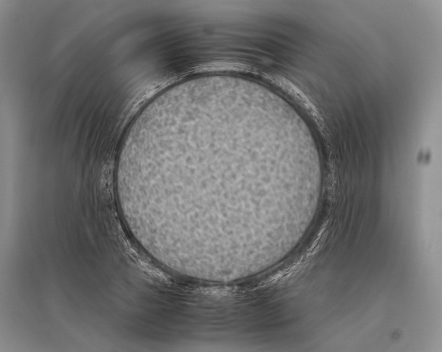 X0000096440937200802211207