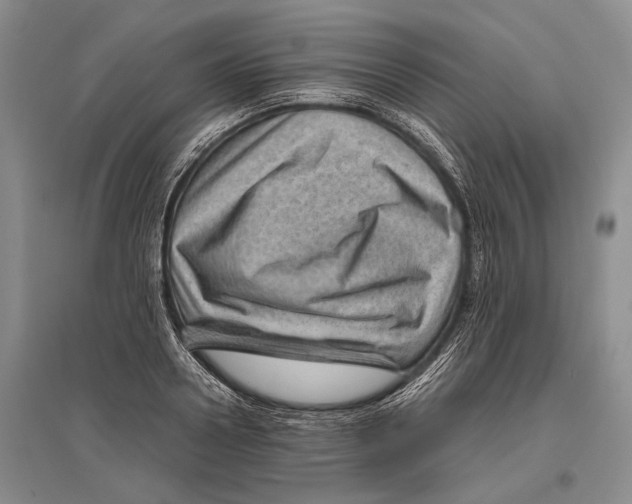 X0000096440938200802211207