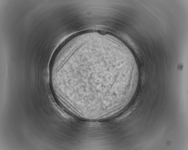 X0000096440940200802211207