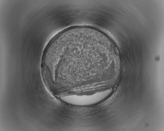 X0000096440943200802211207