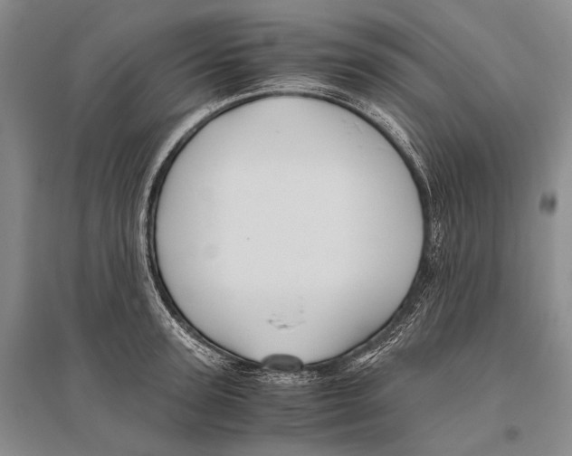 X0000096440947200802211207