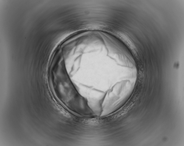 X0000096440948200802211207