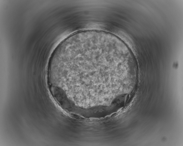 X0000096440949200802211207