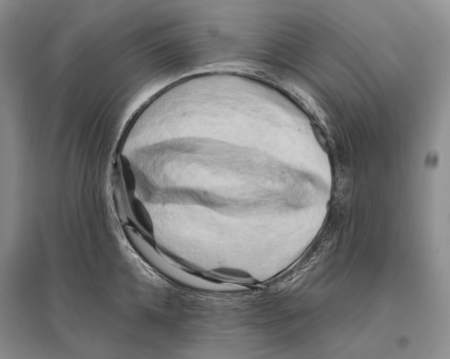 X0000096440952200802211207