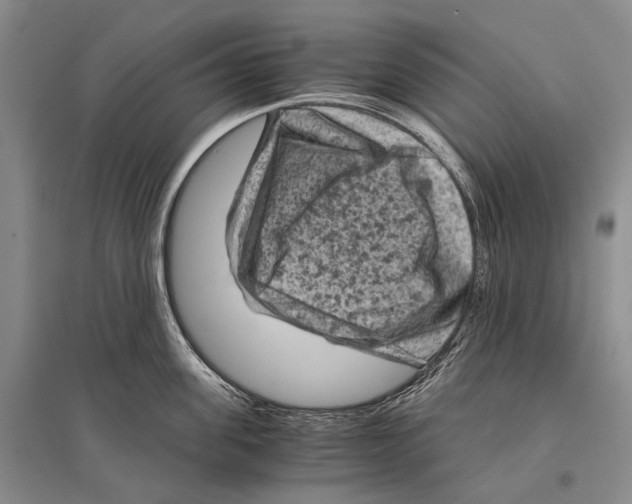 X0000096440955200802211207