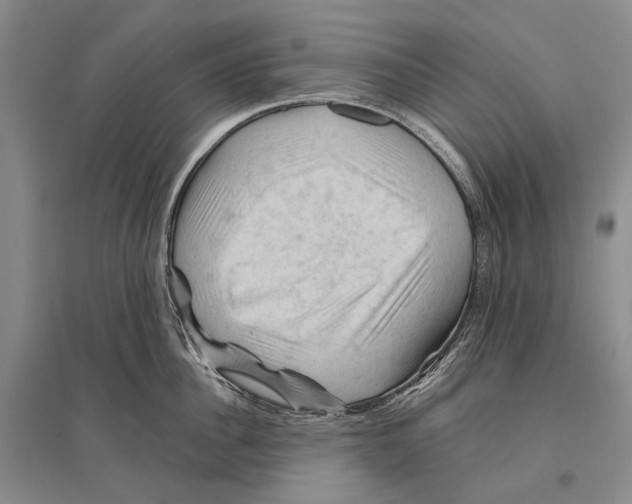 X0000096440956200802211207