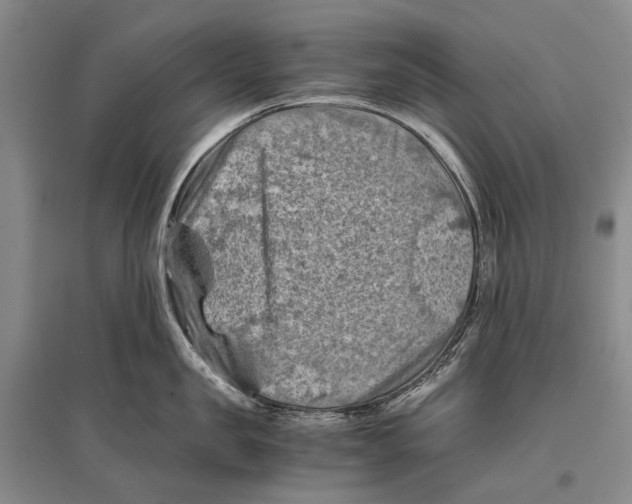 X0000096440957200802211207