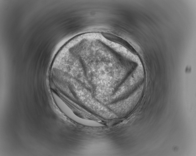 X0000096440960200802211207