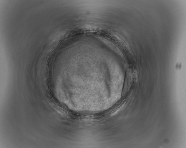 X0000096440961200802211206