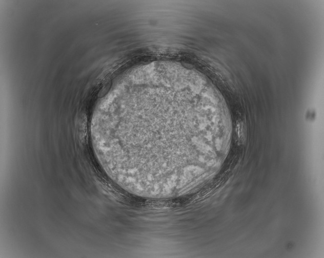 X0000096440963200802211206