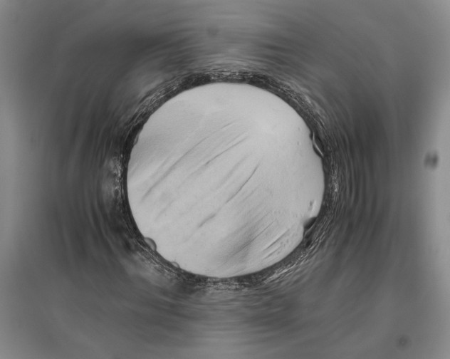 X0000096440964200802211206