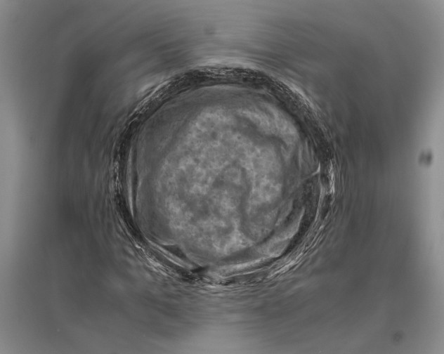 X0000096440965200802211206