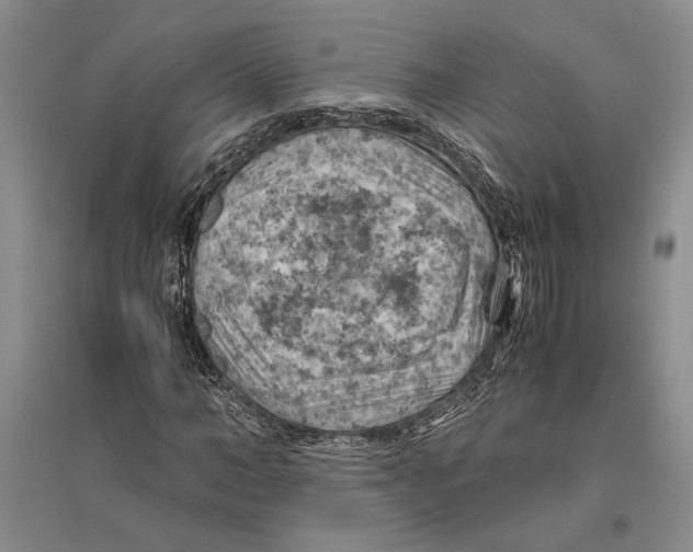 X0000096440966200802211206