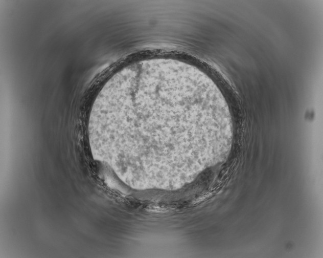 X0000096440967200802211206