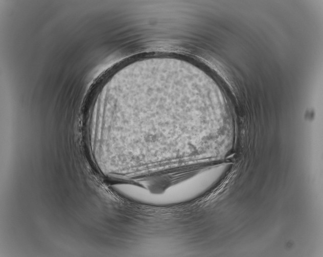 X0000096440971200802211206