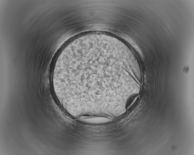 X0000096440972200802211206