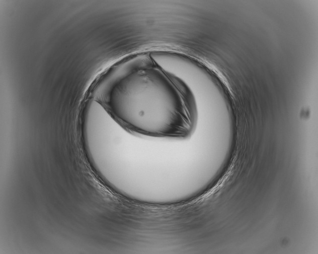 X0000096440973200802211206