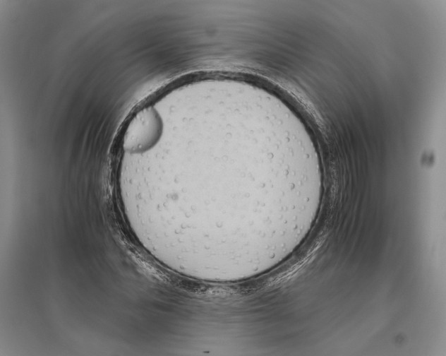 X0000096440974200802211206